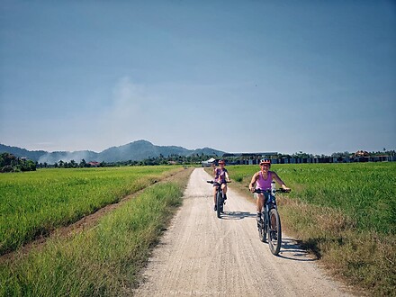 Day Tour - Penang Island by E-Bike